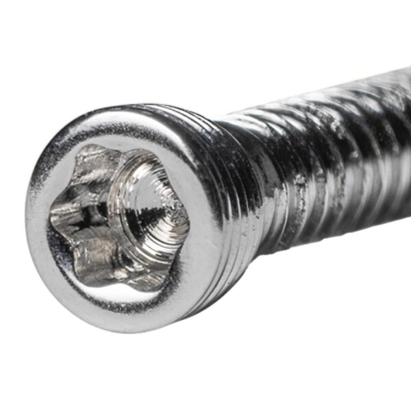 Tornillo de Bloqueo de Ángulo Variable 2.4 mm (Star Like)