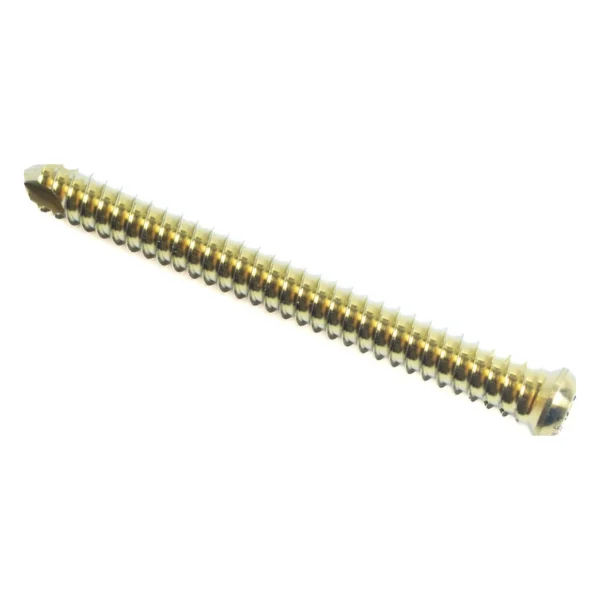 tornillo_20_mm_autorroscante_para_cirugia_maxilofacial_01 Tornillo 2.0 mm Autorroscante para Cirugía Maxilofacial